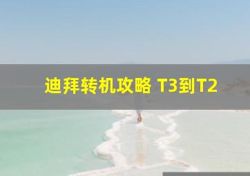 迪拜转机攻略 T3到T2